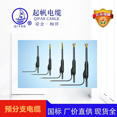 預(yù)分支電纜_預(yù)制分支電纜_分支電纜