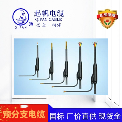 預(yù)分支電纜